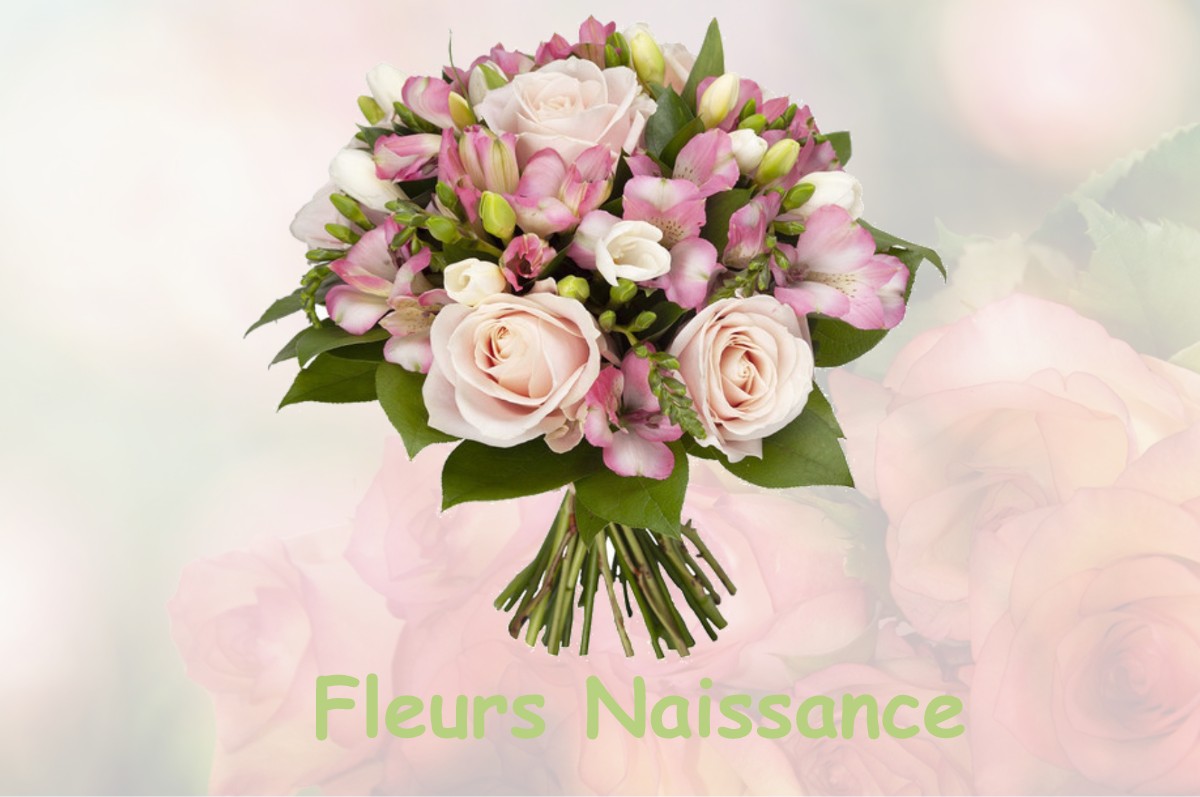 fleurs naissance NANTEAU-SUR-ESSONNE